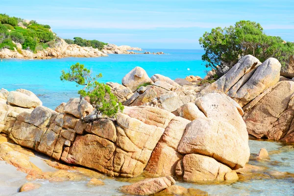 Spiaggia di Caprccioli in una giornata limpida — Foto Stock