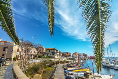 palmiye dalları Stintino eski Harbor