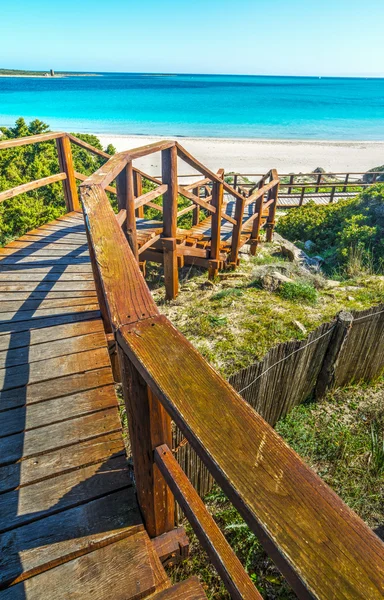 Деревянные лестницы на пляж — стоковое фото