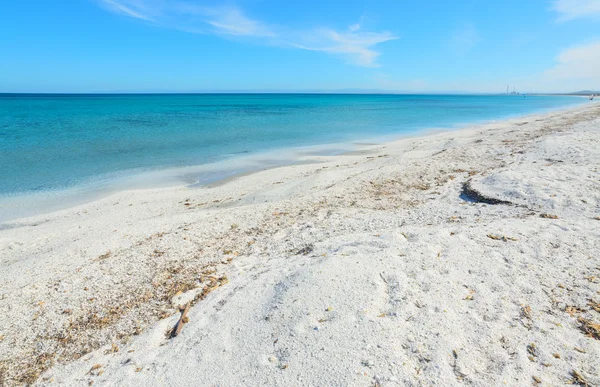 Sabbia bianca e mare azzurro a Stintino — Foto Stock