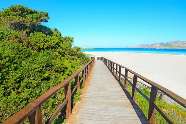 Wooden walk path to the beach — Stock Photo, Image