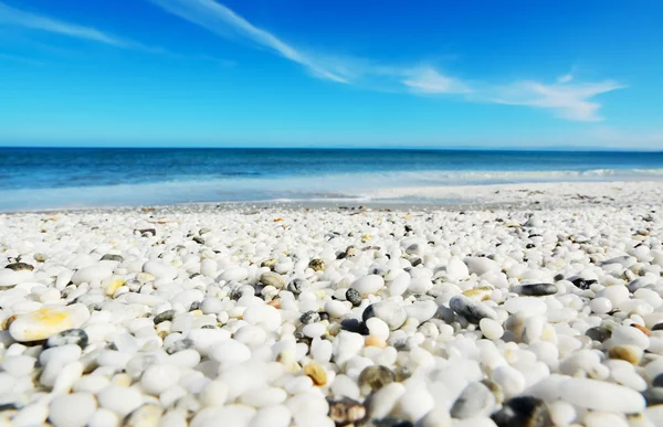 Seixos brancos na costa da Sardenha — Fotografia de Stock