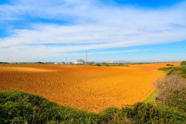 Kahverengi toprak ve Sardinya yeşil çayır — Stok fotoğraf