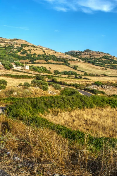 Gelbes Feld in der sardischen Landschaft — Stockfoto