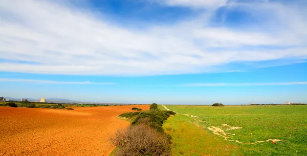 Tierra marrón y pradera verde en Cerdeña —  Fotos de Stock