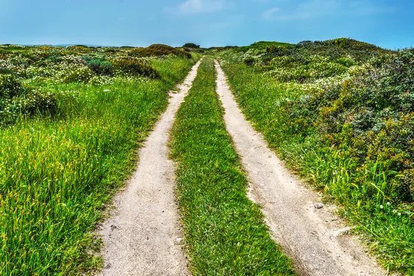 Strada sterrata in una giornata limpida in Sardegna — Foto Stock