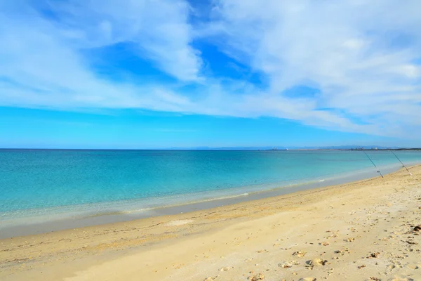 Cannes à pêche en Fiume Santo — Photo