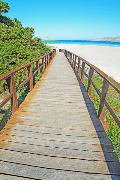 Escaliers en bois à la plage de La Pelosa — Photo