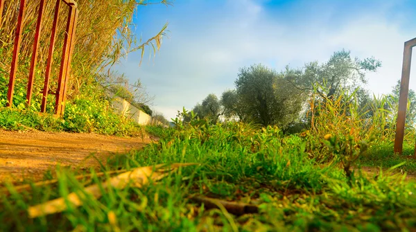 Dirt path seen from the ground — Stock Photo, Image