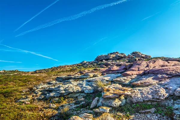 サルデーニャの岩石の多い海岸の紫岩 — ストック写真
