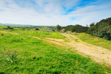 Mavi gökyüzü altında yeşil çayır