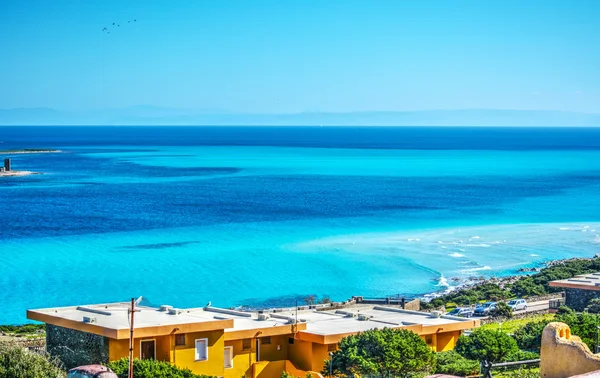 Plage de La Pelosa par une journée ensoleillée — Photo