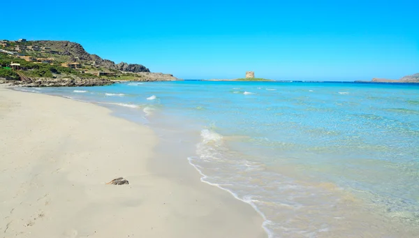 La Pelosa beach on a clear, sunny day — Stock Photo, Image