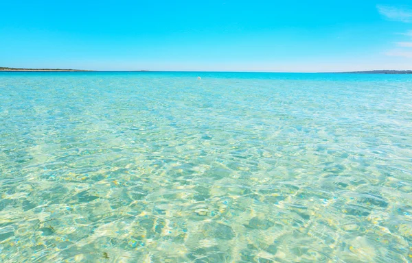 Eau cristalline à La Pelosa plage — Photo