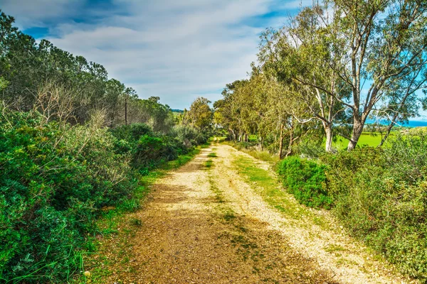 Grusväg på Sardiniens landsbygd — Stockfoto