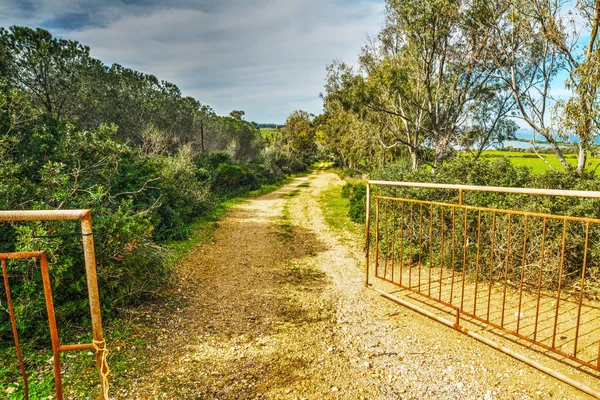 Open gate in the countryside — Stock Photo, Image