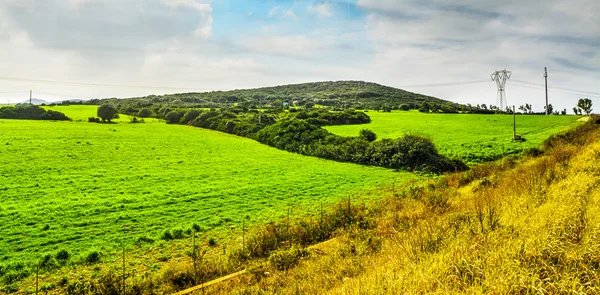 Sardinya yeşil bir alan üzerinde dramatik gökyüzü — Stok fotoğraf