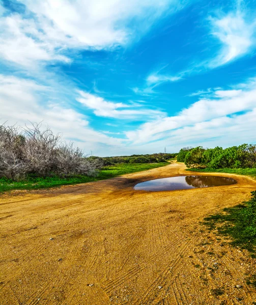 Pfützen in einem sardinischen Feldweg — Stockfoto