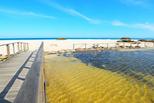 Wooden path to the beach — Stock Photo, Image