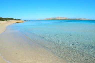 Stintino kıyı mavi denizlerde