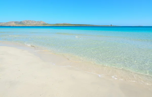 Plage de La Pelosa par temps clair — Photo