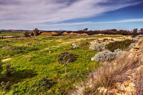 Grönt fält vid solnedgången på Sardinien — Stockfoto