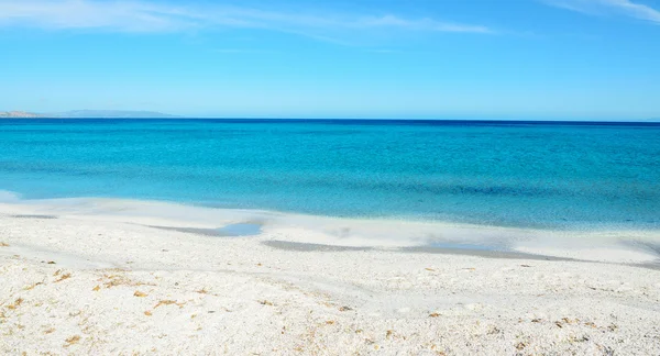 Blue sea under a clear sky in Stintino — Stock Photo, Image