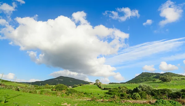 Zielone wzgórza pod błękitne niebo z chmurami — Zdjęcie stockowe