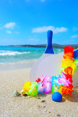 raketleri ve kabukları bir tropikal plaj