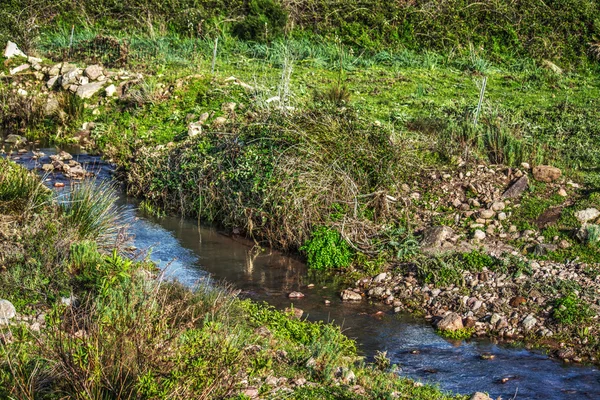 Small creek in Sardinia — Stock Photo, Image