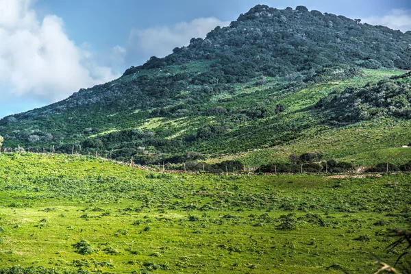 Groene heuvel onder de wolken in Sardinië — Stockfoto