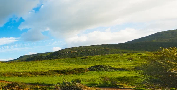Verdes colinas bajo un cielo azul con nubes suaves — Foto de Stock