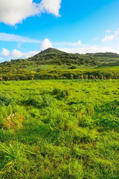 Morbide nuvole su una collina verde — Foto Stock