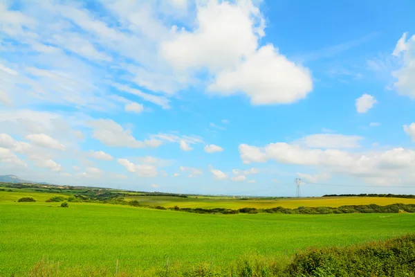 Groene landschap onder een blauwe hemel — Stockfoto