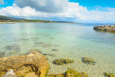Alghero sahil sarı kayalarda