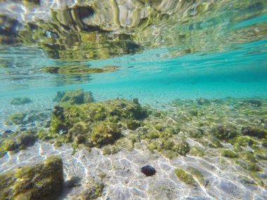 turquoise sea in Sardinia clipart