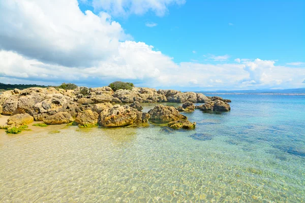 アルゲーロの海岸で岩 — ストック写真