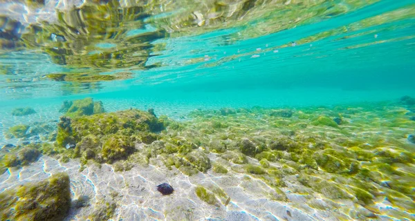 Sandiger Meeresboden in Sardinen — Stockfoto