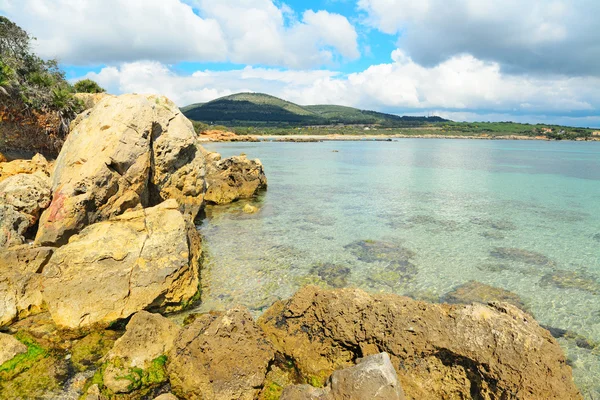 Rocas amarillas junto al mar —  Fotos de Stock