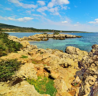 kayalar ve Alghero denizde