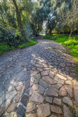 yürüyüş yolu ve ağaçlar