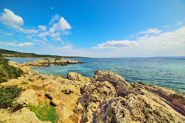 Roches et la mer en Alghero — Photo