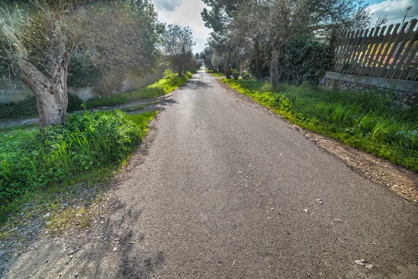 Landweg in Sardinië — Stockfoto