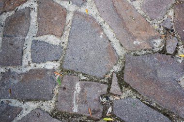 çini bir yürüyüş yolu