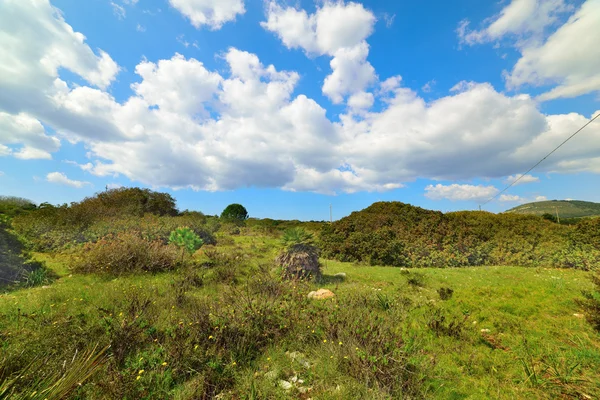 Céu nublado sobre um campo verde — Fotografia de Stock