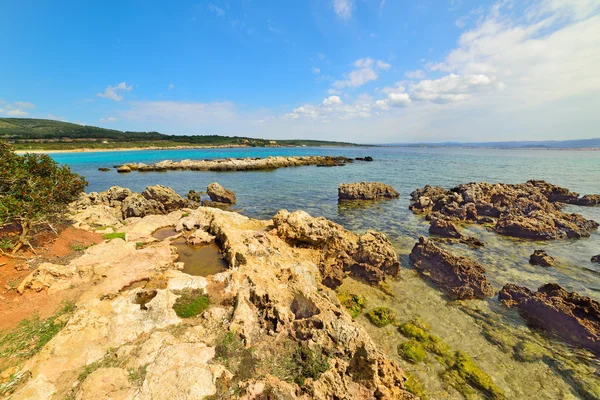 サルデーニャ島の小さな入り江で黄色の岩 — ストック写真