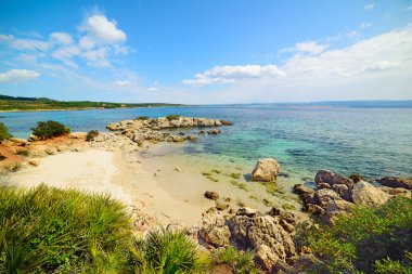 Alghero'da güzel plajı