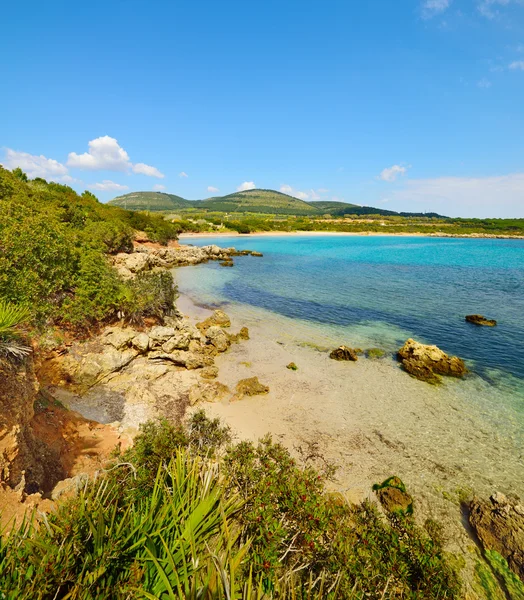 Piccola insenatura ad Alghero — Foto Stock