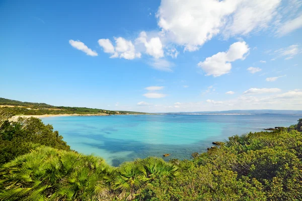 Ciel dégagé sur la plage de Lazzaretto en Sardaigne — Photo