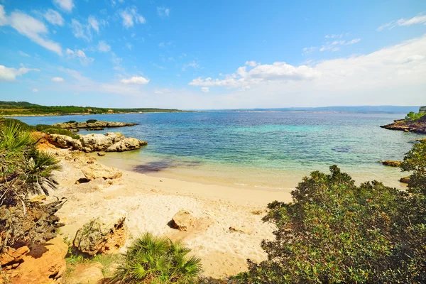 Скалы и золотой песок на Сардинии — стоковое фото